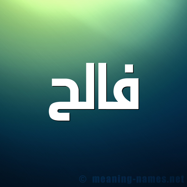 صورة اسم فالح Falh شكل 1 صوره للإسم بخط عريض