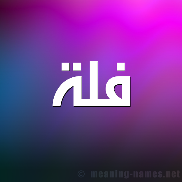 شكل 1 صوره للإسم بخط عريض صورة اسم فُلَّة FOLAH شكل 1 صوره للإسم بخط عريض صورة اسم فُلَّة FOLAH