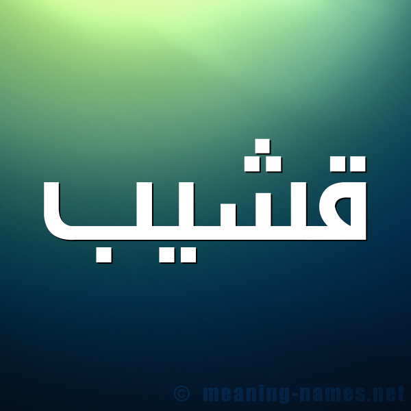 صورة اسم قشيب Qshyb شكل 1 صوره للإسم بخط عريض