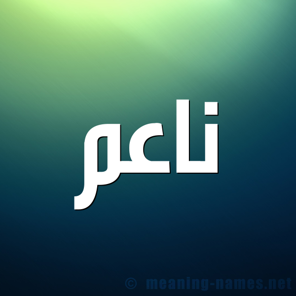 صورة اسم ناعم NAAM شكل 1 صوره للإسم بخط عريض