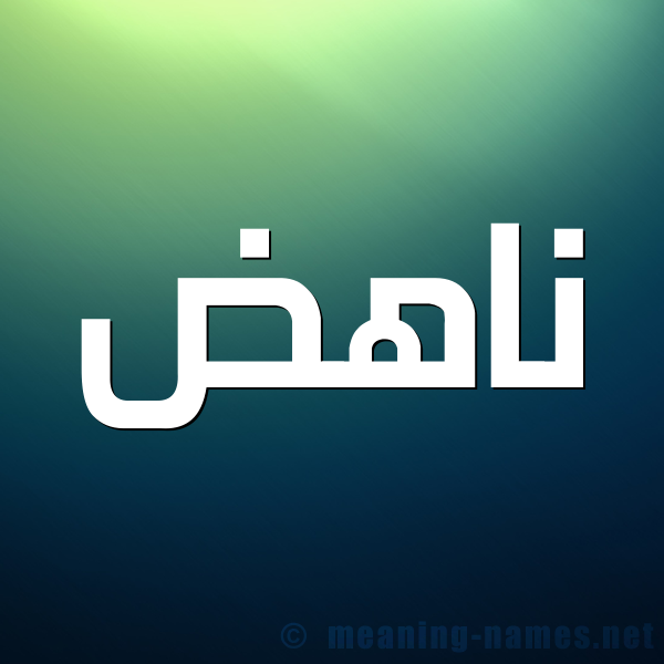 شكل 1 صوره للإسم بخط عريض صورة اسم ناهض Nahd.
