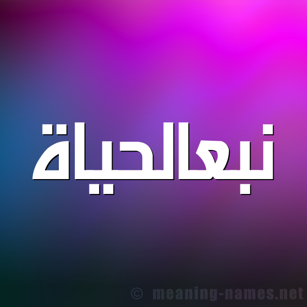 شكل 1 صوره للإسم بخط عريض صورة اسم نبعالحياة Nb'alhyah