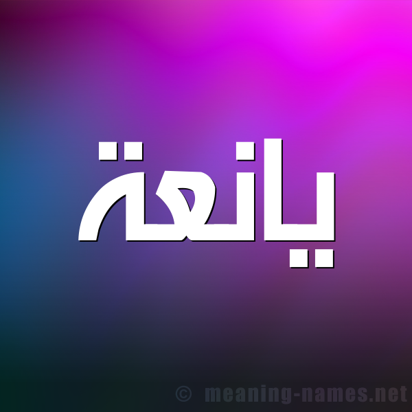 صورة اسم يانعة IANAH شكل 1 صوره للإسم بخط عريض