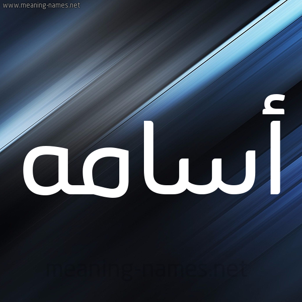 شكل 3 صوره ديجيتال للإسم بخط عريض صورة اسم أسامه ASAMH