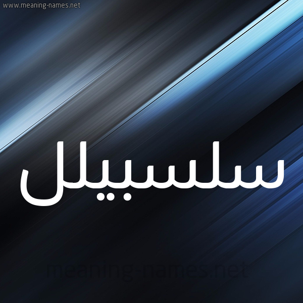 شكل 3 صوره ديجيتال للإسم بخط عريض صورة اسم سلسبيلل Salsabil