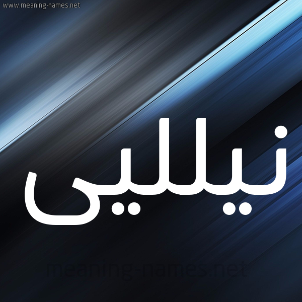 شكل 3 صوره ديجيتال للإسم بخط عريض صورة اسم نيلليى nillei