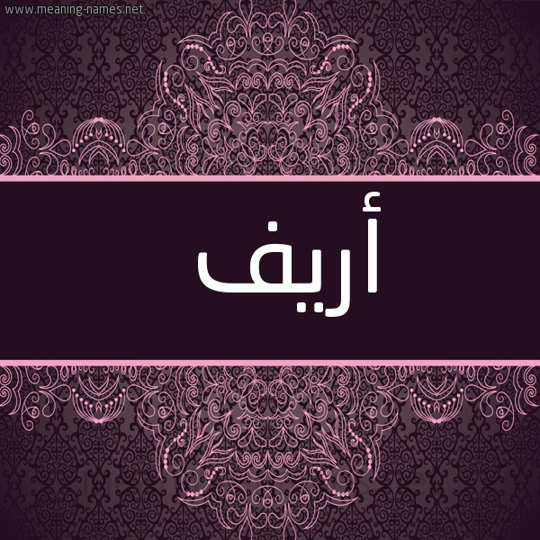 شكل 4 صوره زخرفة عربي للإسم بخط عريض صورة اسم أريف areef