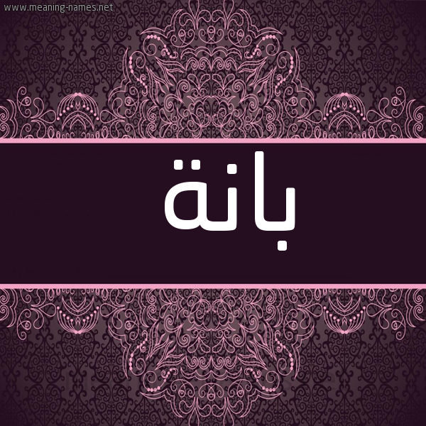 شكل 4 صوره زخرفة عربي للإسم بخط عريض صورة اسم بانة Banh