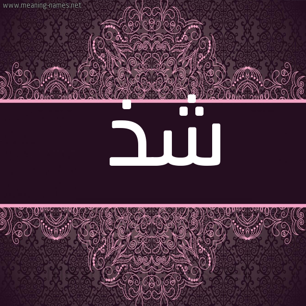 شكل 4 صوره زخرفة عربي للإسم بخط عريض صورة اسم شذ SHZ