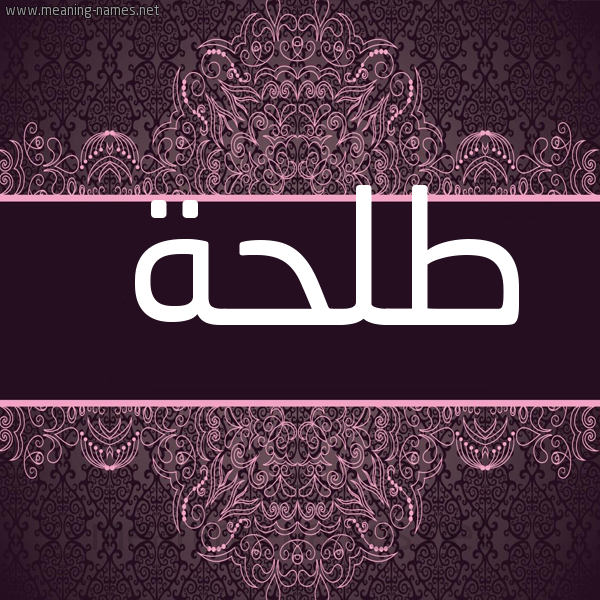 شكل 4 صوره زخرفة عربي للإسم بخط عريض صورة اسم طلحة Talha