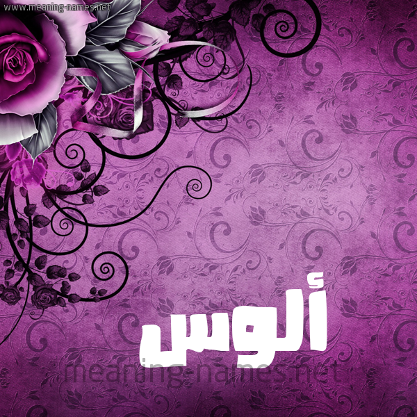 شكل 5 صوره زخرفة وورده للإسم بخط عريض صورة اسم أَلُّوس AALOOS شكل 5 صوره زخرفة وورده للإسم بخط عريض صورة اسم أَلُّوس AALOOS