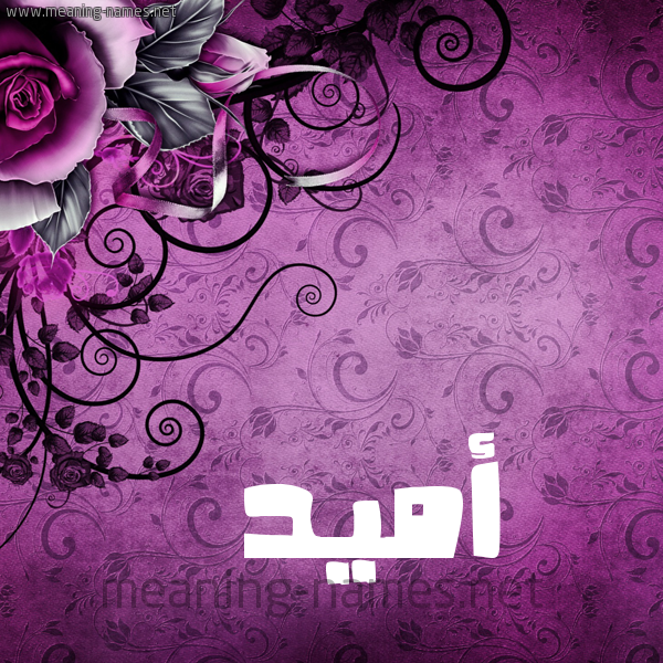 شكل 5 صوره زخرفة وورده للإسم بخط عريض صورة اسم أُمِّيد AOMEID شكل 5 صوره زخرفة وورده للإسم بخط عريض صورة اسم أُمِّيد AOMEID