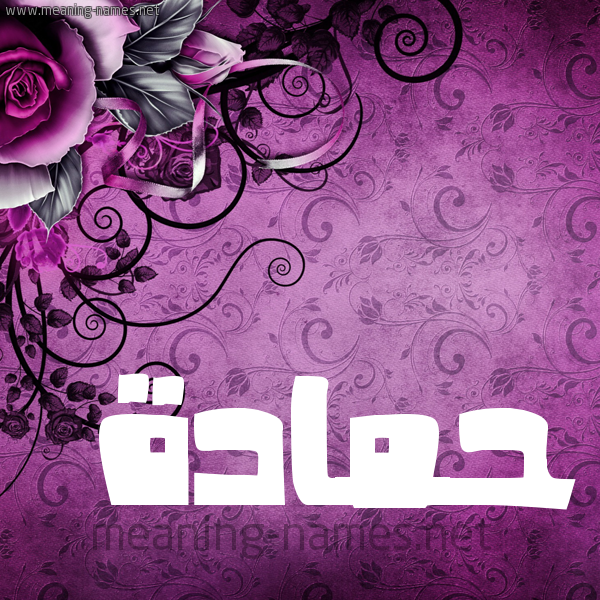 شكل 5 صوره زخرفة وورده للإسم بخط عريض صورة اسم حَمَّادة HAMAADH شكل 5 صوره زخرفة وورده للإسم بخط عريض صورة اسم حَمَّادة HAMAADH