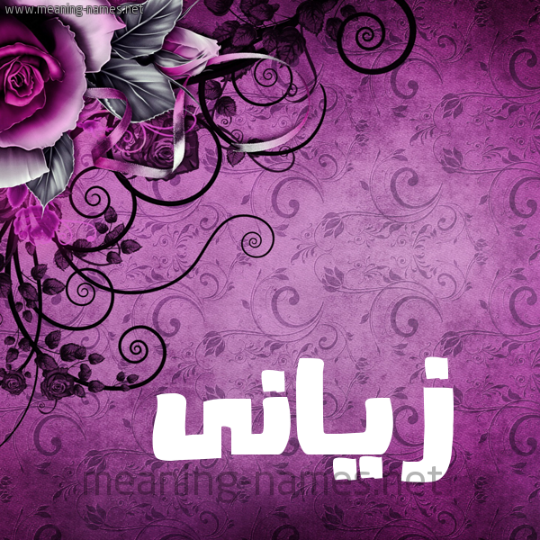 شكل 5 صوره زخرفة وورده للإسم بخط عريض صورة اسم زيَّانى ziani شكل 5 صوره زخرفة وورده للإسم بخط عريض صورة اسم زيَّانى ziani
