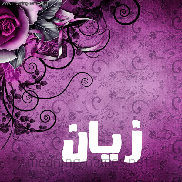 شكل 5 صوره زخرفة وورده للإسم بخط عريض صورة اسم زَيَّان ZAIAAN شكل 5 صوره زخرفة وورده للإسم بخط عريض صورة اسم زَيَّان ZAIAAN