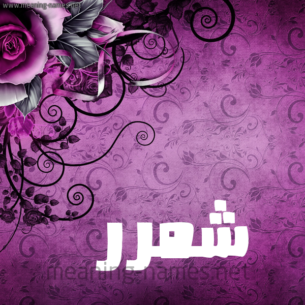شكل 5 صوره زخرفة وورده للإسم بخط عريض صورة اسم شمَّرر Shammar شكل 5 صوره زخرفة وورده للإسم بخط عريض صورة اسم شمَّرر Shammar
