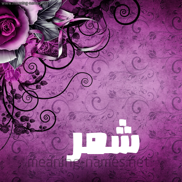 شكل 5 صوره زخرفة وورده للإسم بخط عريض صورة اسم شَمَّر SHAMAR شكل 5 صوره زخرفة وورده للإسم بخط عريض صورة اسم شَمَّر SHAMAR