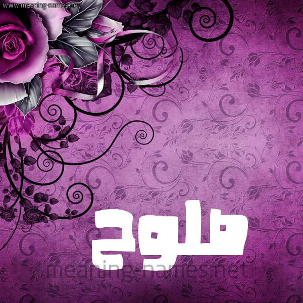 شكل 5 صوره زخرفة وورده للإسم بخط عريض صورة اسم صَلُّوح SALOOH شكل 5 صوره زخرفة وورده للإسم بخط عريض صورة اسم صَلُّوح SALOOH