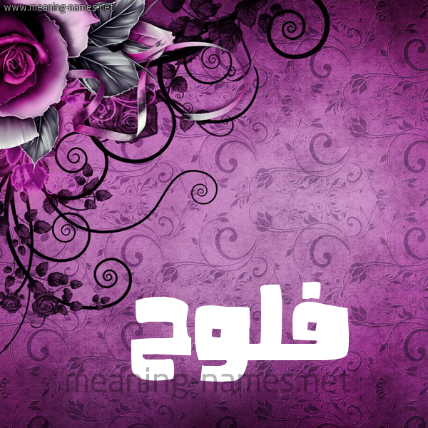 شكل 5 صوره زخرفة وورده للإسم بخط عريض صورة اسم فَلُّوح FALOOH شكل 5 صوره زخرفة وورده للإسم بخط عريض صورة اسم فَلُّوح FALOOH