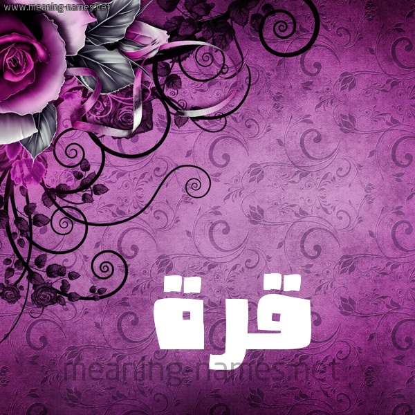 شكل 5 صوره زخرفة وورده للإسم بخط عريض صورة اسم قُرَّةَ QORAHA شكل 5 صوره زخرفة وورده للإسم بخط عريض صورة اسم قُرَّةَ QORAHA