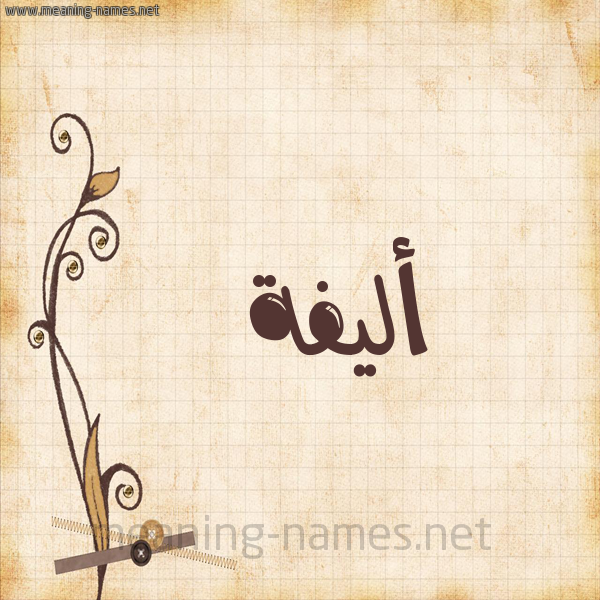 شكل 6 صوره ورق كلاسيكي للإسم بخط عريض صورة اسم أليفة ALIFH