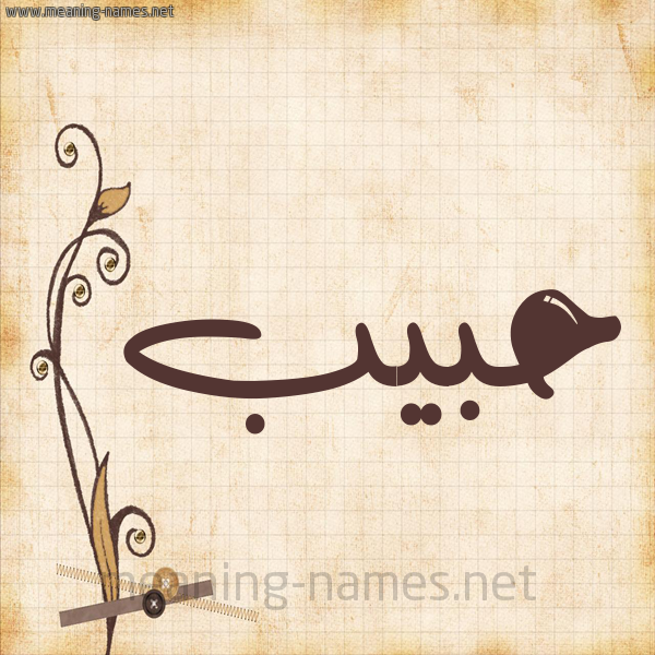 شكل 6 صوره ورق كلاسيكي للإسم بخط عريض صورة اسم حبيب Habib