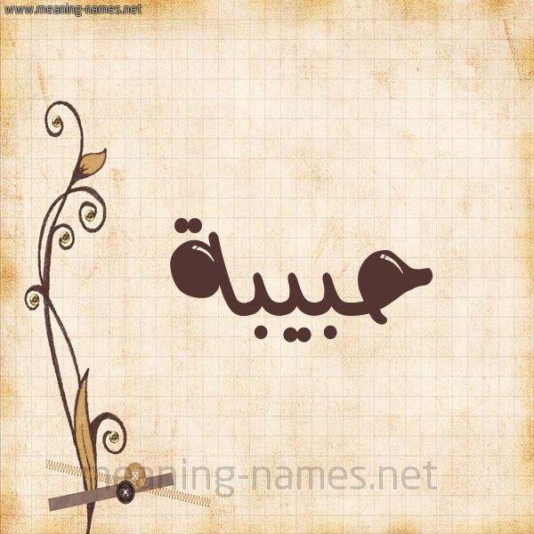شكل 6 صوره ورق كلاسيكي للإسم بخط عريض صورة اسم حَبِيبة habeba