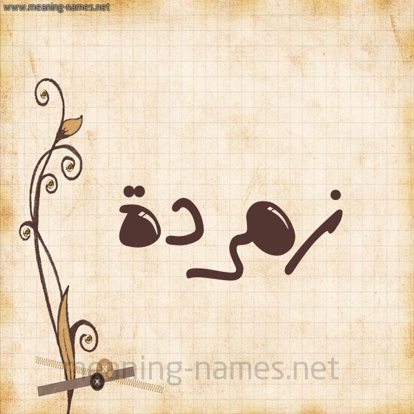 شكل 6 صوره ورق كلاسيكي للإسم بخط عريض صورة اسم زُمُرُّدة ZOMORODH شكل 6 صوره ورق كلاسيكي للإسم بخط عريض صورة اسم زُمُرُّدة ZOMORODH