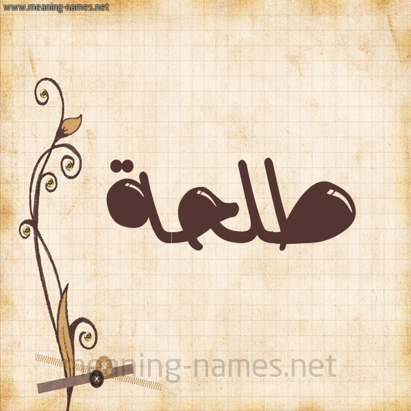 شكل 6 صوره ورق كلاسيكي للإسم بخط عريض صورة اسم طَلْحة Talha