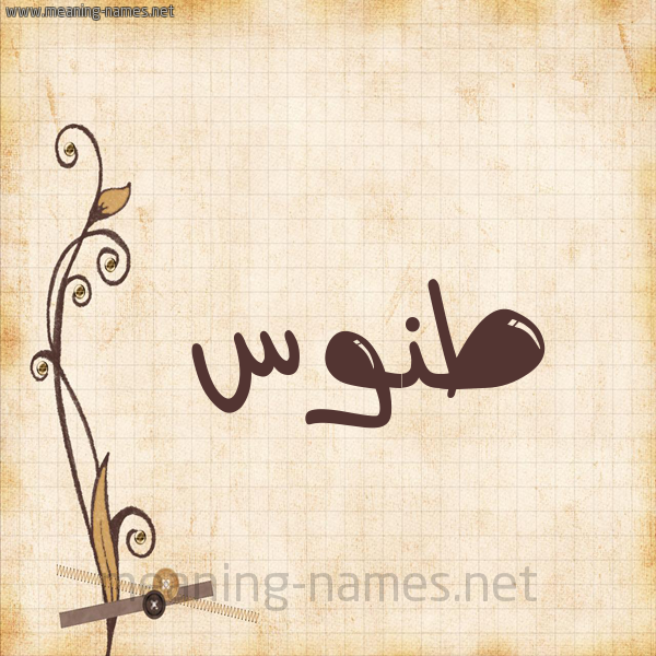 شكل 6 صوره ورق كلاسيكي للإسم بخط عريض صورة اسم طَنُّوس TANOOS شكل 6 صوره ورق كلاسيكي للإسم بخط عريض صورة اسم طَنُّوس TANOOS