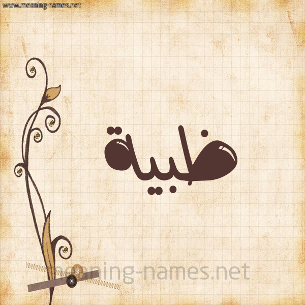 شكل 6 صوره ورق كلاسيكي للإسم بخط عريض صورة اسم ظبية Zbyh