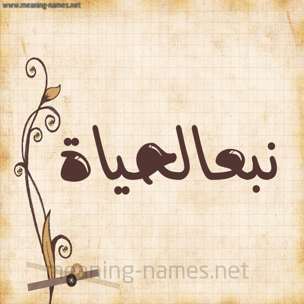 شكل 6 صوره ورق كلاسيكي للإسم بخط عريض صورة اسم نبعالحياة Nb'alhyah