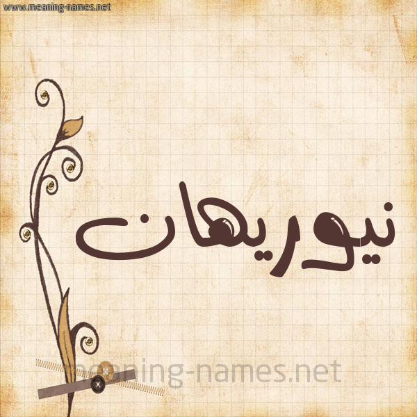 شكل 6 صوره ورق كلاسيكي للإسم بخط عريض صورة اسم نيوريهان Nourihan