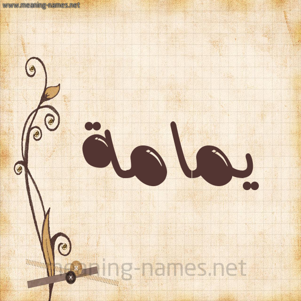 شكل 6 صوره ورق كلاسيكي للإسم بخط عريض صورة اسم يمامة Ymamh