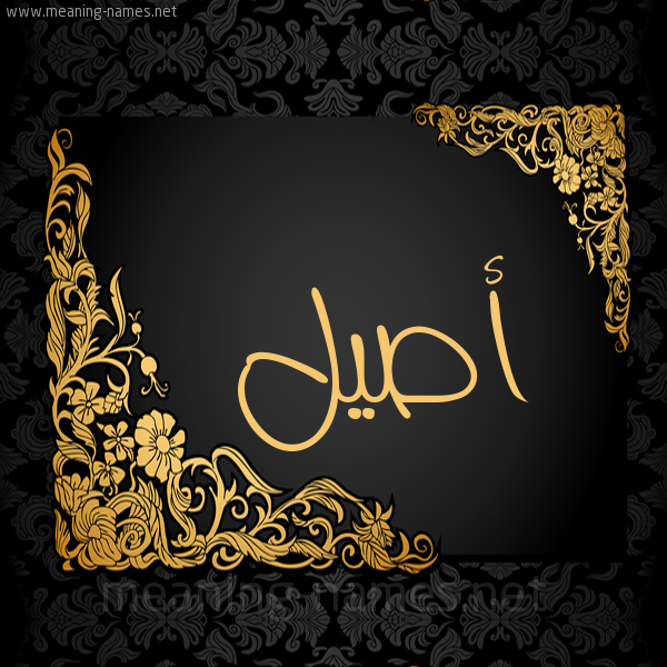 شكل 7 صوره اطار ذهبي مزخرف للإسم بخط عريض صورة اسم أصيل Aseel