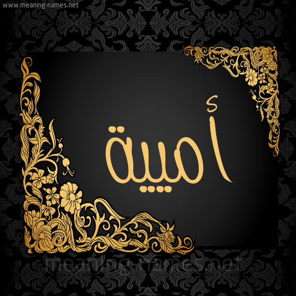 شكل 7 صوره اطار ذهبي مزخرف للإسم بخط عريض صورة اسم أميية Umayyah
