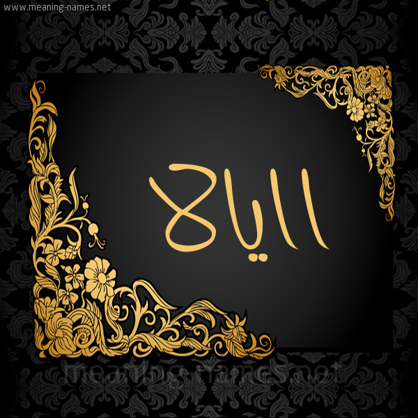 شكل 7 صوره اطار ذهبي مزخرف للإسم بخط عريض صورة اسم اايالا Eyala
