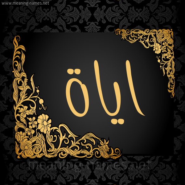شكل 7 صوره اطار ذهبي مزخرف للإسم بخط عريض صورة اسم اياة AIAH