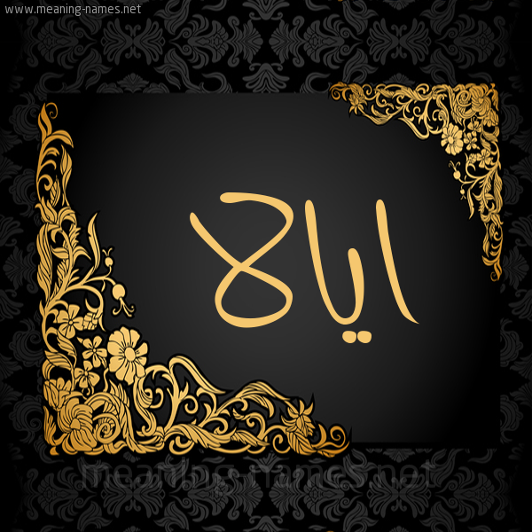 شكل 7 صوره اطار ذهبي مزخرف للإسم بخط عريض صورة اسم ايالا ayalla