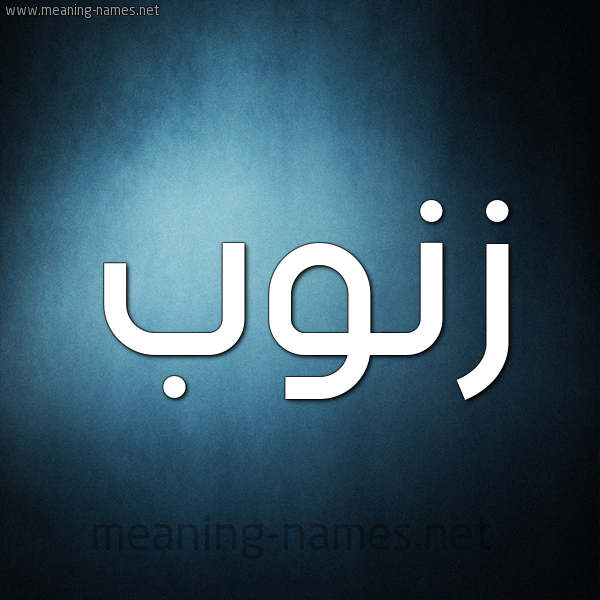 صورة اسم زَنُّوب ZANOOB شكل 9 صوره ديجيتال للإسم بخط عريض صورة اسم زَنُّوب ZANOOB شكل 9 صوره ديجيتال للإسم بخط عريض