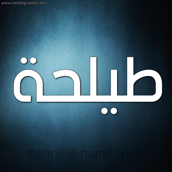 صورة اسم طيلحة Talha شكل 9 صوره ديجيتال للإسم بخط عريض
