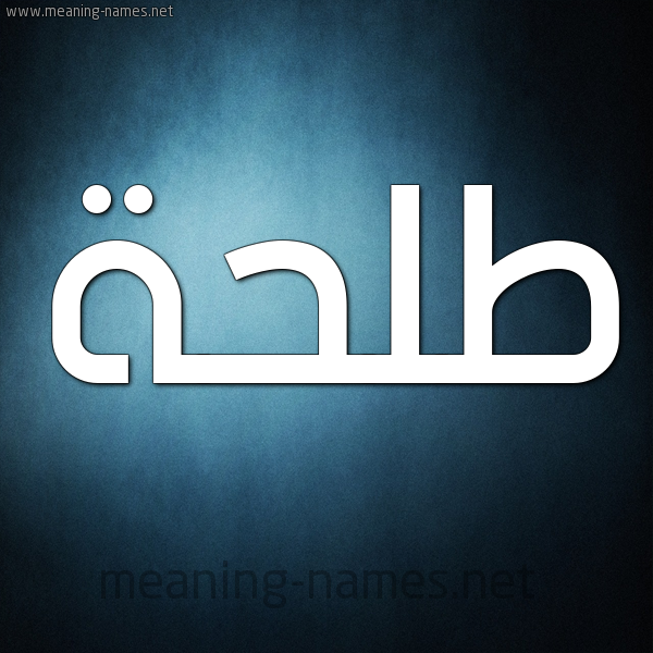 صورة اسم طَلْحة Talha شكل 9 صوره ديجيتال للإسم بخط عريض