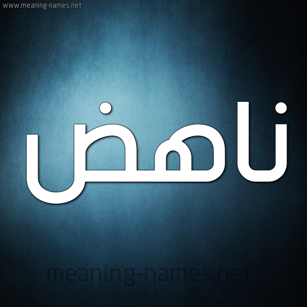 صورة اسم ناهض Nahd. شكل 9 صوره ديجيتال للإسم بخط عريض