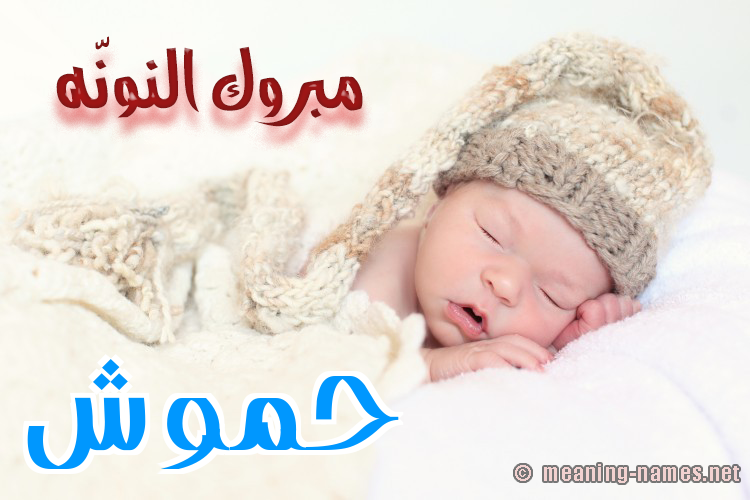 كارت مبروك النونّه صورة اسم حَمُّوش HAMOOSH كارت مبروك النونّه صورة اسم حَمُّوش HAMOOSH