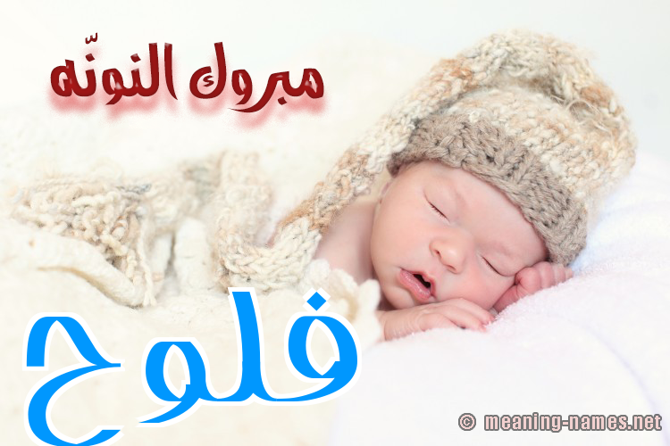 كارت مبروك النونّه صورة اسم فَلُّوح FALOOH كارت مبروك النونّه صورة اسم فَلُّوح FALOOH