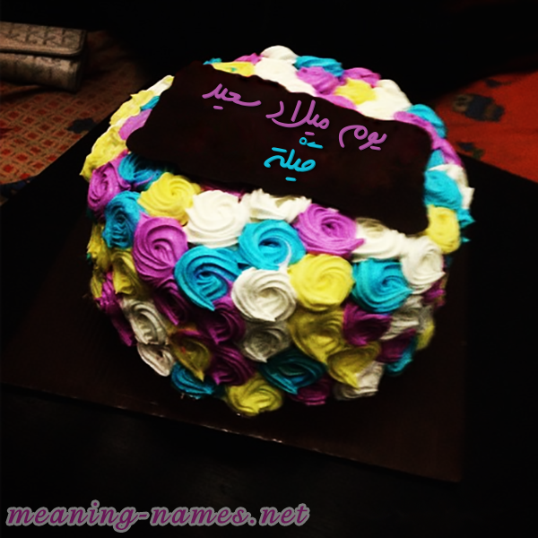اكتب اسمك على كيكه ورد مع لوح شيكولاته صورة اسم قَيْلة QAILH