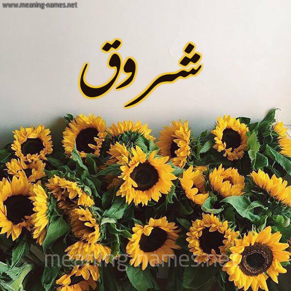 شروق شكل 17 صوره دوار الشمس للإسم بخط رقعة كتابة على الورد 2021
