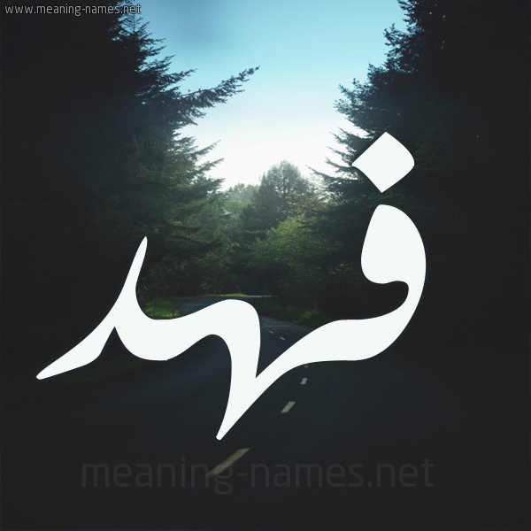 فهد شكل 19 صوره طريق بين الشجر بخط رقعة كتابة على الورد 2021