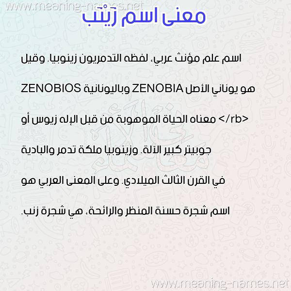 معاني الأسماء على صورة صورة اسم زَيْنَب Zainab